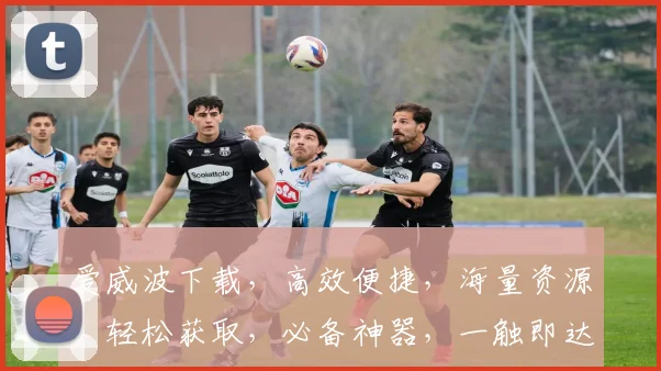 爱威波下载，高效便捷，海量资源，轻松获取，必备神器，一触即达