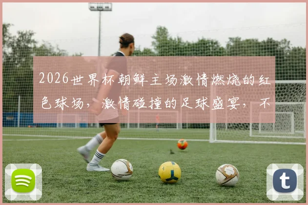 2026世界杯朝鲜主场激情燃烧的红色球场，激情碰撞的足球盛宴，不容错过